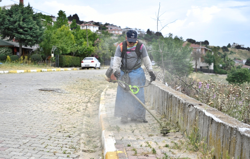 BEYLİKDÜZÜ’NÜN DOĞAL ALANLARI YAZA HAZIR