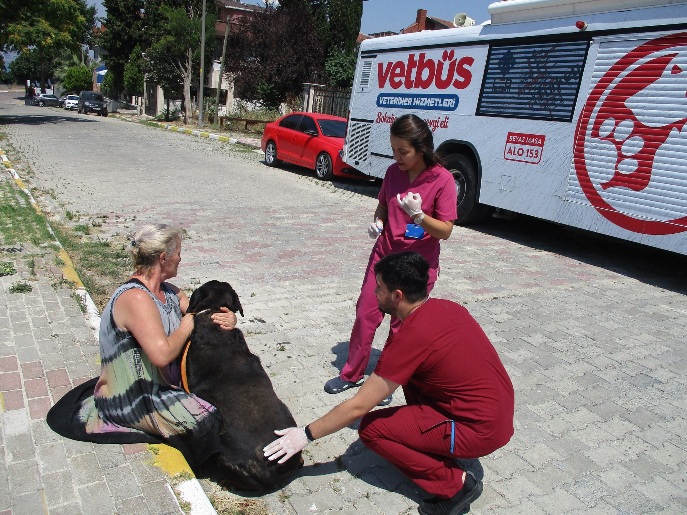 SOKAK HAYVANLARINA VETBÜS İLE YERİNDE SAĞLIK HİZMETİ