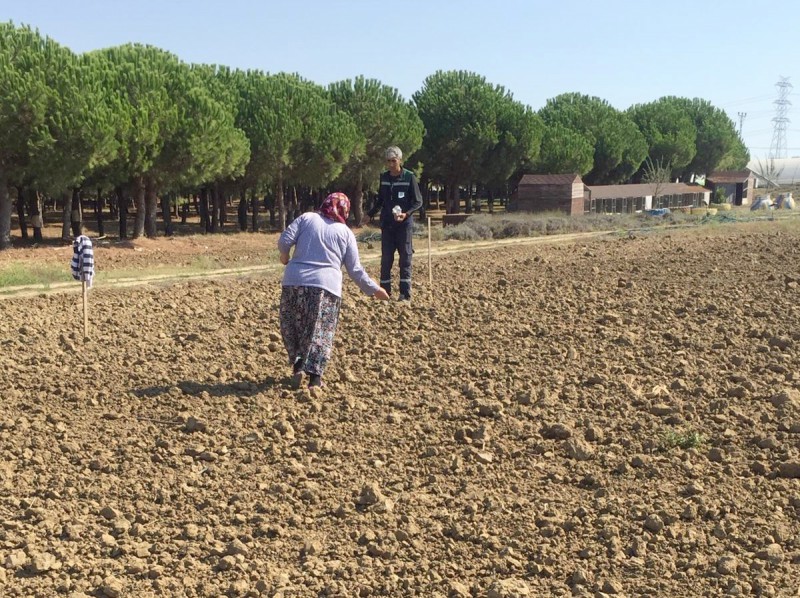 TÜRAM’DA KIŞLIK FİDE EKİMİ BAŞLADI