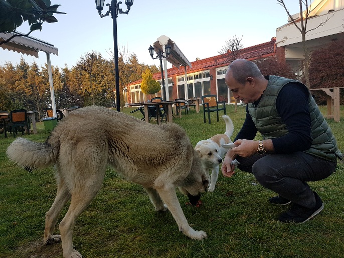 BÜYÜKÇEKMECE BELEDİYESİ SOKAK HAYVANLARI İÇİN SEFERBER OLDU!