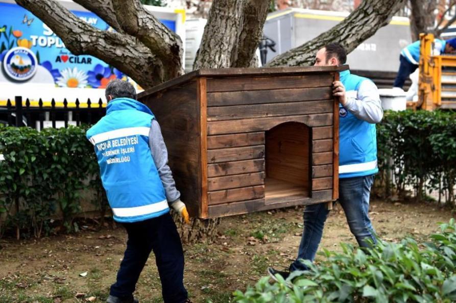 AVCILAR BELEDİYESİ SOKAKTA YAŞAYAN KÖPEKLER İÇİN İLÇEDEKİ PARKLARA YENİ KULÜBELER YERLEŞTİRDİ