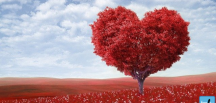 14 Şubat Sevgililer Günü-Sevgililer günü ne kadar popüler-Sevgililer gününü kutlama nedenlerimiz-Sevgililer gününde fiyatlar