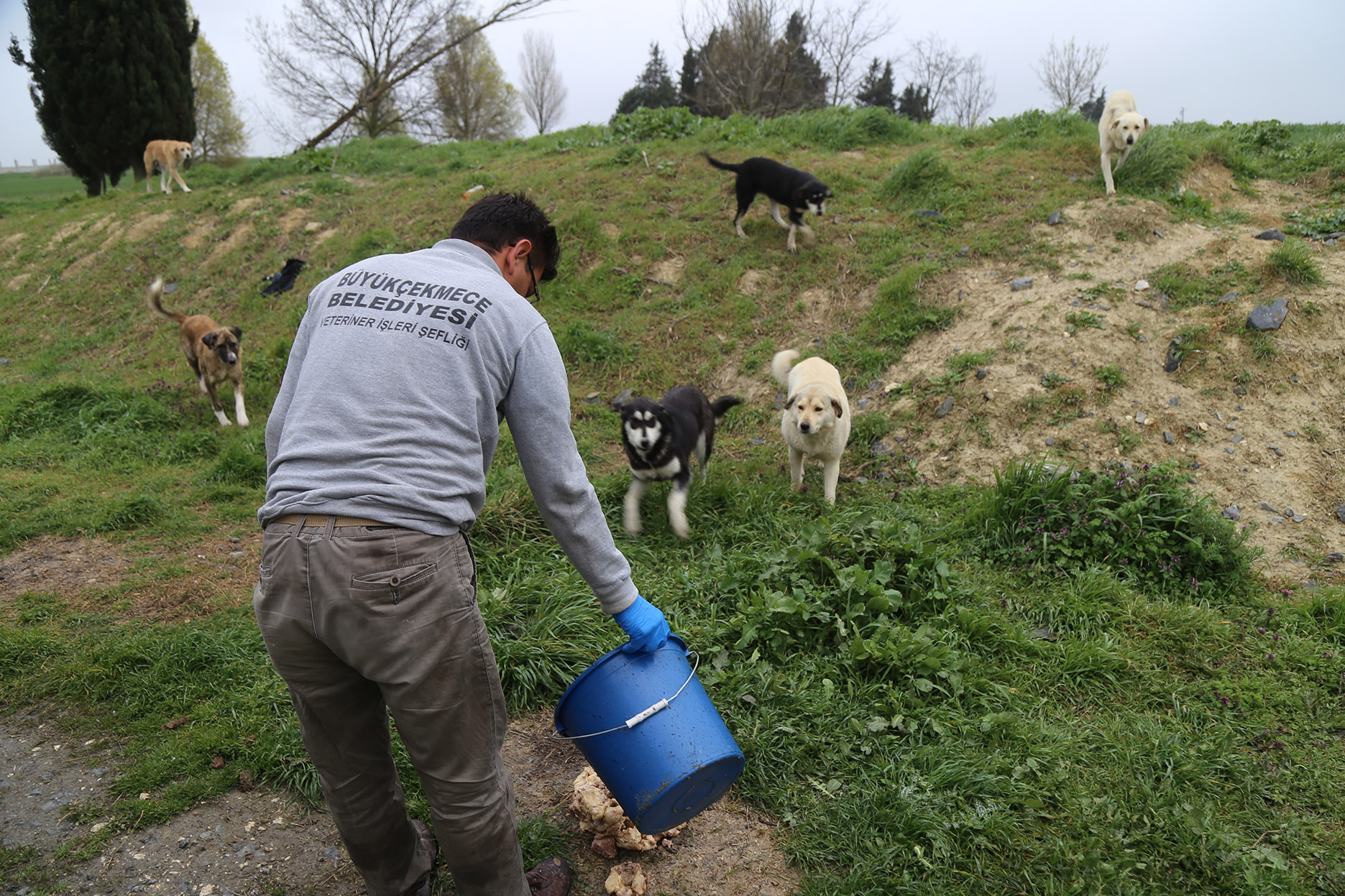 BÜYÜKÇEKMECE BELEDİYESİ, ZOR GÜNLERİNDE DE CAN DOSTLARIN YANINDA