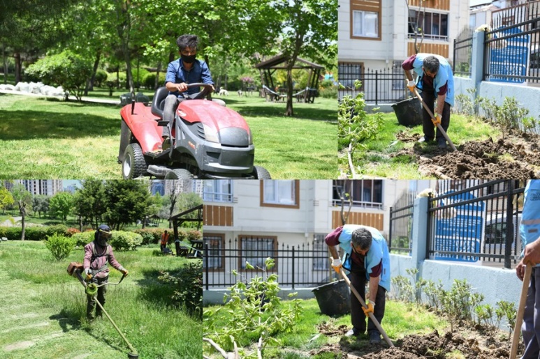 ESENYURT’TA AĞAÇLANDIRMA VE BAKIM ÇALIŞMALARI SÜRÜYOR