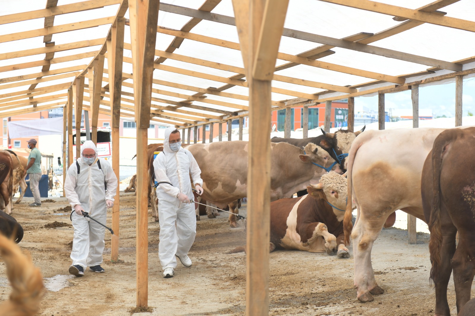 ESENYURT KURBANLIK SATIŞ ALANINDA ‘SİNEKSAVARLI’ ÖNLEM