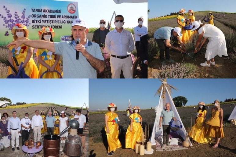 BÜYÜKÇEKMECE’DE LAVANTA HASAT ŞENLİĞİ RENKLİ GÖRÜNTÜLERLE GERÇEKLEŞTİ