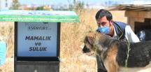 ESENYURT BELEDİYESİ’NDEN SOKAK HAYVANLARINA MAMALIK VE SULUK