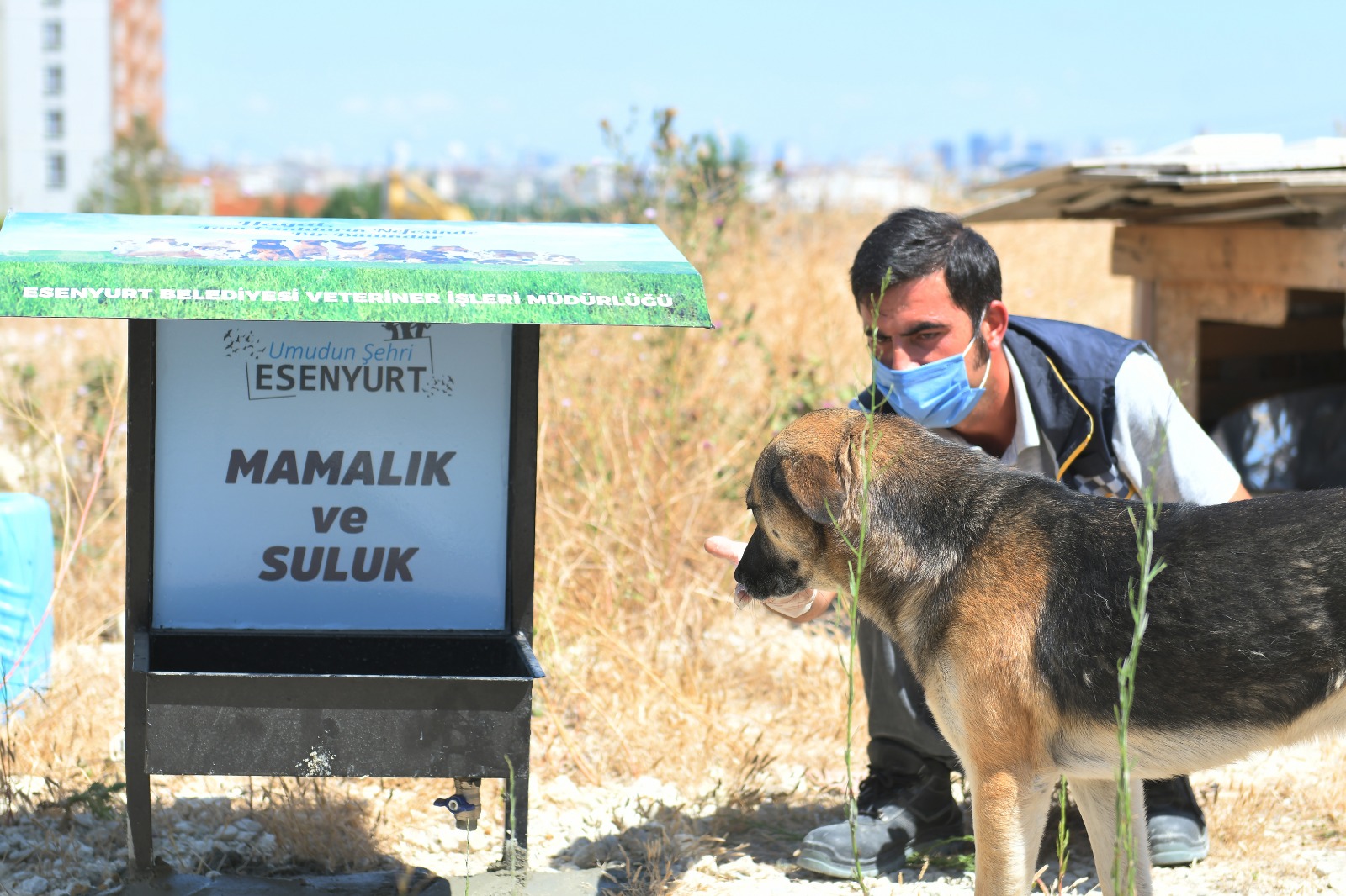 ESENYURT BELEDİYESİ’NDEN SOKAK HAYVANLARINA MAMALIK VE SULUK