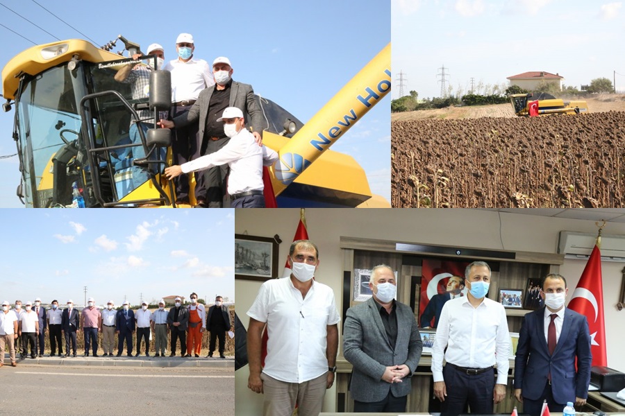 MURATBEY MAHALLESİ’NDE İLK HASAT İSTANBUL VALİSİ ALİ YERLİKAYA’DAN