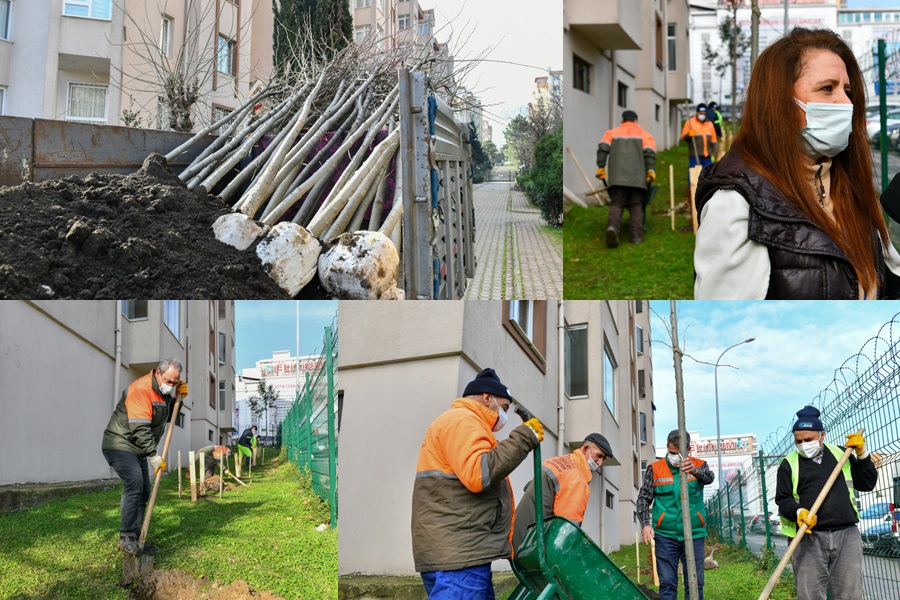 ESENYURT’TA KESİLMEK ZORUNDA KALAN AĞAÇLARIN YERİNE YENİLERİ DİKİLDİ