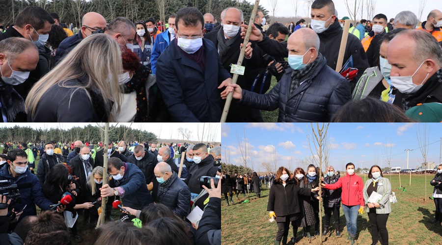 BAŞKAN AKGÜN, 8 MART HATIRA ORMANI’NA AĞAÇ DİKTİ