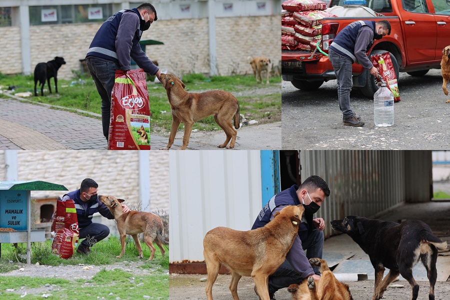 ESENYURT BELEDİYESİ, CAN DOSTLARIMIZI YALNIZ BIRAKMIYOR