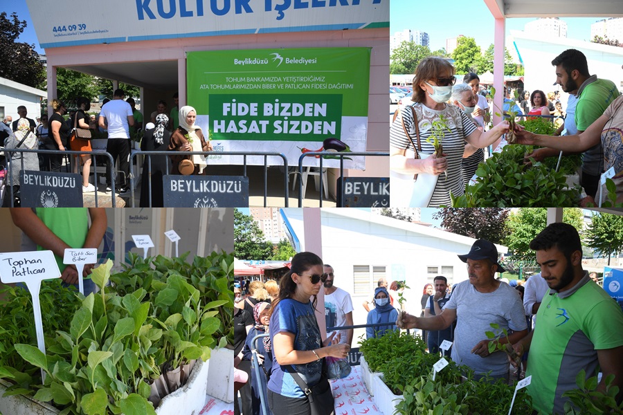 BEYLİKDÜZÜ BELEDİYESİ “FİDE BİZDEN HASAT SİZDEN” DEDİ