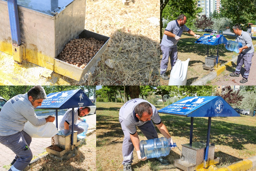 KÜÇÜKÇEKMECE BELEDİYESİ, SICAK YAZ GÜNLERİNDE SESSİZ DOSTLARI UNUTMUYOR