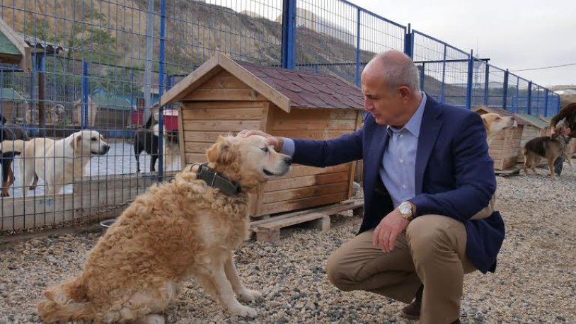 BÜYÜKÇEKMECE BELEDİYESİ E-DEVLET’TEN HAYVAN SAHİPLENDİRECEK