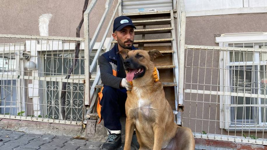 SOKAK KÖPEĞİ İLE TEMİZLİK GÖREVLİSİNİN YÜREKLERİ ISITAN DOSTLUĞU