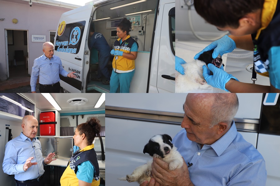 CANGO, 7/24 CAN DOSTLARIN HİZMETİNDE OLACAK!