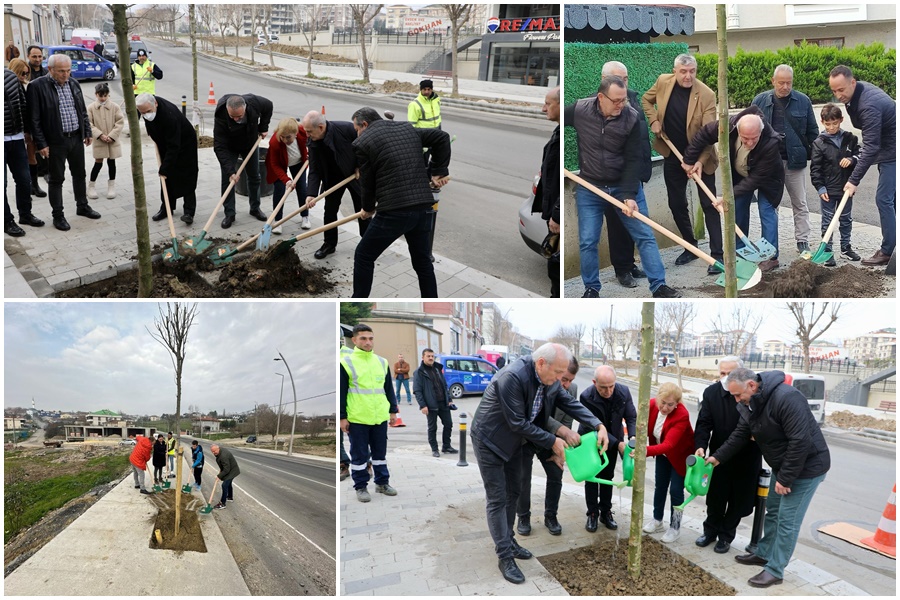 BÜYÜKÇEKMECE’DE 2024 YILINA 24 MAHALLEDE AĞAÇ DİKEREK GİRİLDİ