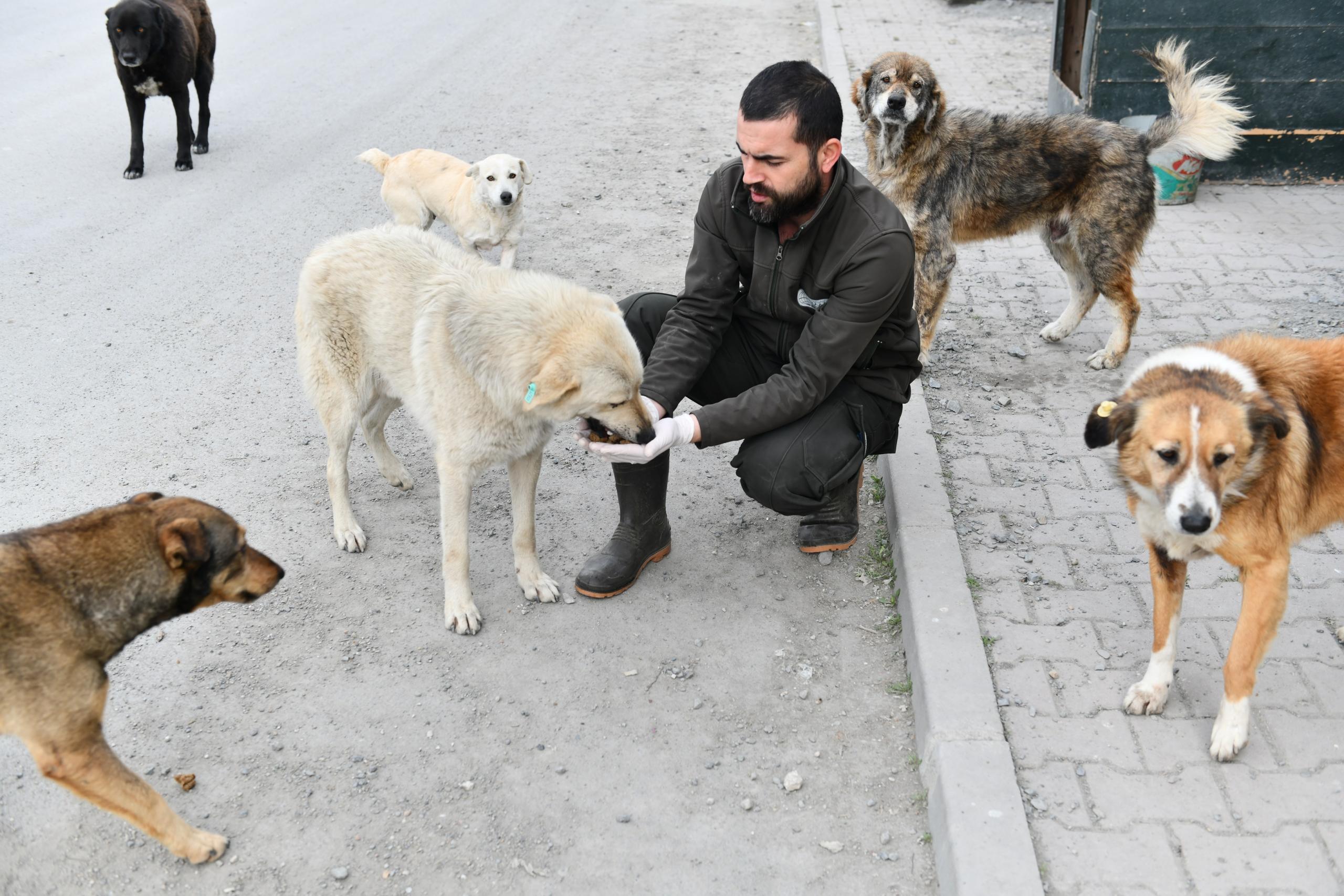 ESENYURT BELEDİYESİ CAN DOSTLARIMIZI YALNIZ BIRAKMIYOR