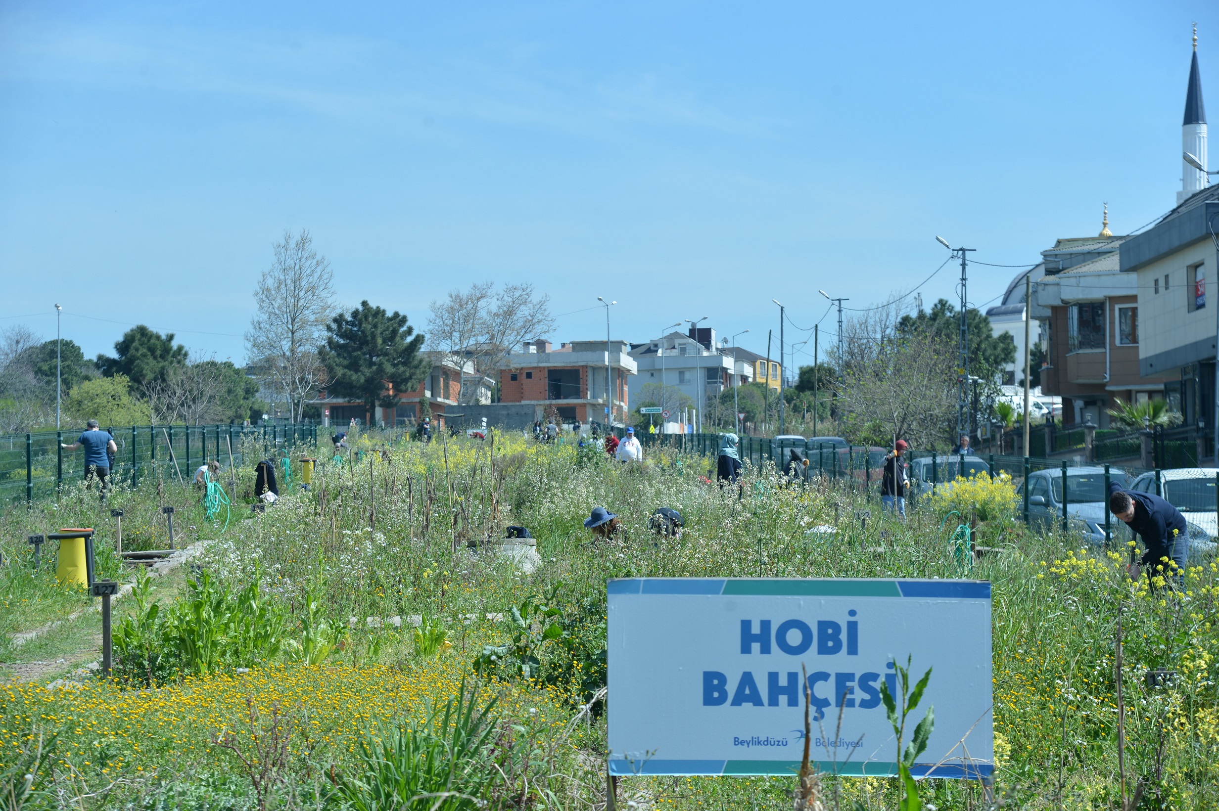 BEYLİKDÜZÜ’NDE HOBİ BAHÇELERİ SAHİPLERİYLE BULUŞTU