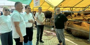 KAYMAKAM TUNA, KURBAN PAZARINDA…