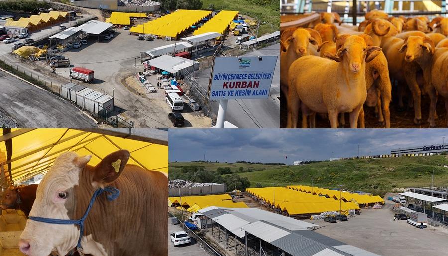 BÜYÜKÇEKMECE BELEDİYESİ KURBAN SATIŞ VE KESİM TESİSİ BAYRAMA HAZIR