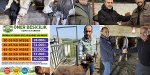 KURBANLIKTA UYGUN FİYAT VE GÜVENİN ADRESİ ÖNER BESİCİLİK…