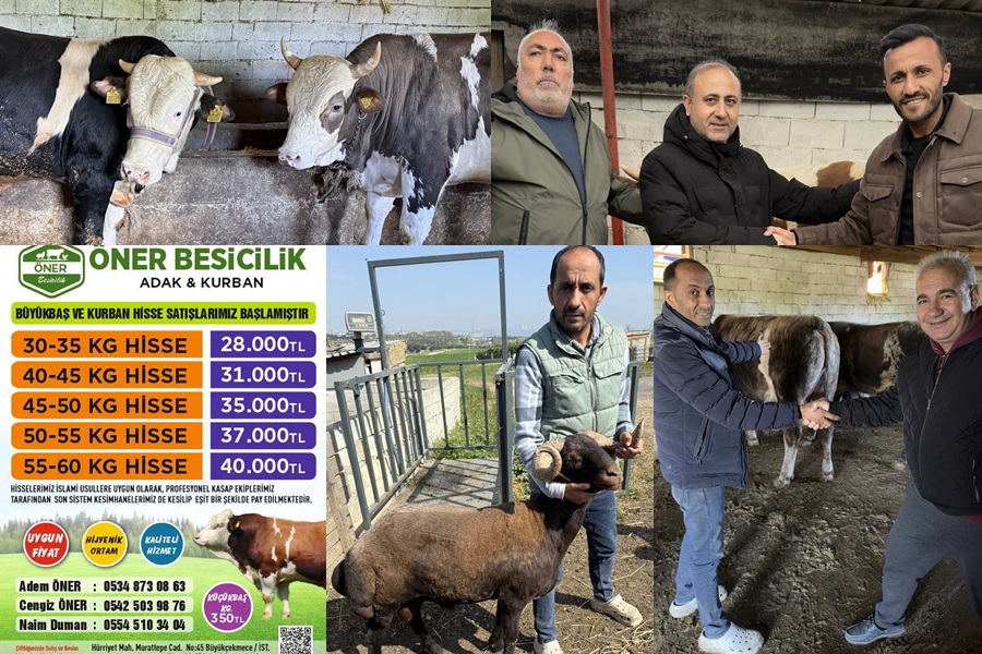 KURBANLIKTA UYGUN FİYAT VE GÜVENİN ADRESİ ÖNER BESİCİLİK…