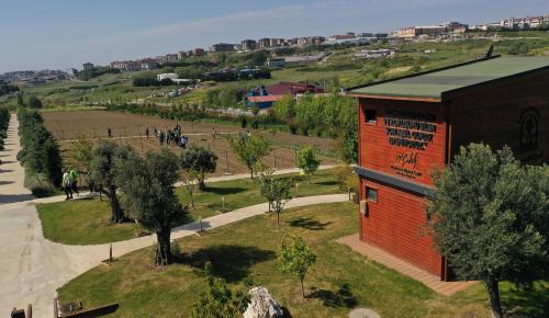 YAŞAM BAHÇESİ YAZA HAZIR