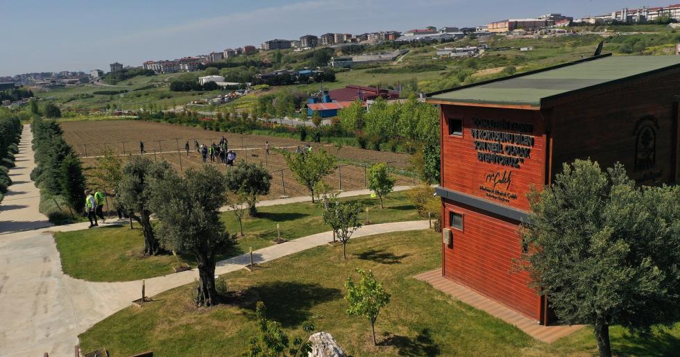 YAŞAM BAHÇESİ YAZA HAZIR