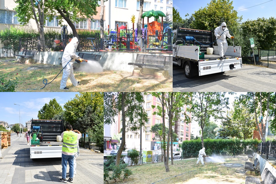 KENE VE HAŞERELERLE MÜCADELE İÇİN İLAÇLAMA ÇALIŞMALARI BAŞLADI