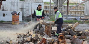 KÜÇÜKÇEKMECE’DE BUDANAN AĞAÇLAR,  İHTİYAÇ SAHİPLERİNE YAKACAK OLUYOR