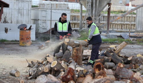 KÜÇÜKÇEKMECE’DE BUDANAN AĞAÇLAR,  İHTİYAÇ SAHİPLERİNE YAKACAK OLUYOR