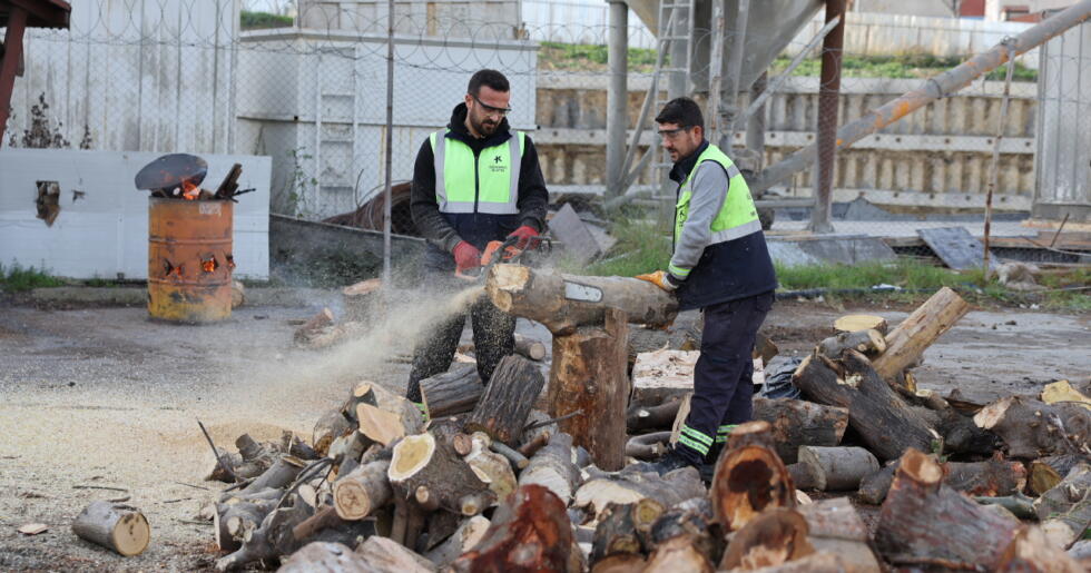 KÜÇÜKÇEKMECE’DE BUDANAN AĞAÇLAR,  İHTİYAÇ SAHİPLERİNE YAKACAK OLUYOR