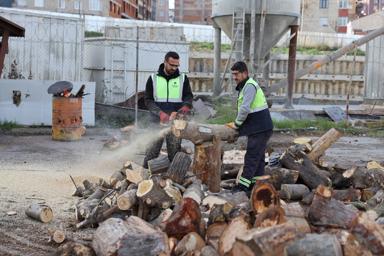 KÜÇÜKÇEKMECE’DE BUDANAN AĞAÇLAR,  İHTİYAÇ SAHİPLERİNE YAKACAK OLUYOR