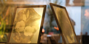 GERİ DÖNÜŞÜMÜN HİKAYESİ “YENİDEN” SERGİSİ İLE SANATSEVERLERLE BULUŞTU