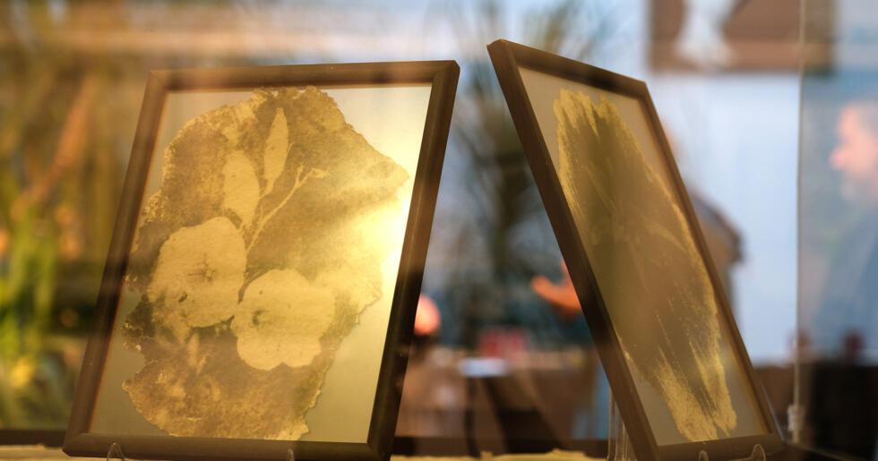 GERİ DÖNÜŞÜMÜN HİKAYESİ “YENİDEN” SERGİSİ İLE SANATSEVERLERLE BULUŞTU